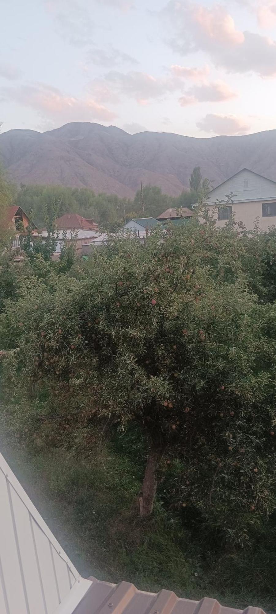 Tert-Kul' "Kamchybek Ata" Guest House B&B מראה חיצוני תמונה